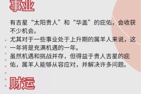 1991年属羊2026年运势及运程 1991年属羊2026年运势详解事业财运与健康运程预测