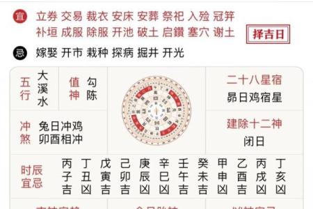 1981年鸡女2025年运势及每月运程_1981年鸡女2025年运势详解及每月运程预测