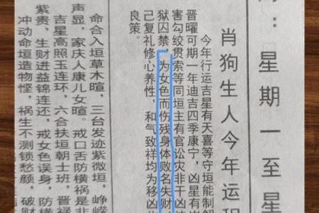 1982属狗2025年每月运势完整版_1982属狗2025年每月运势详解全年运程完整版