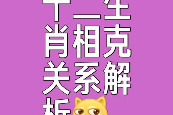兵荒马乱打一生肖(兵荒马乱指哪个生肖)