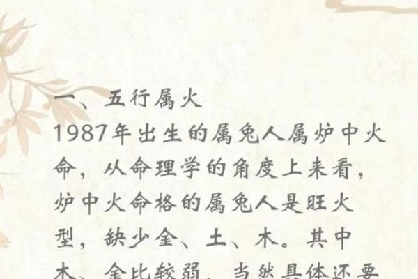 1987年属兔女2025年每月运势完整版_1991年女羊2025年每月运势