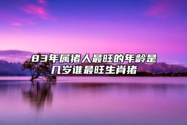 1983年属猪人2025年运势及运程_属猪运势2025年运势详解1983出生
