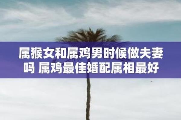 男鸡与什么属相相配最好呢 鸡和谁是天生一对
