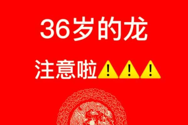属龙的今年会结婚吗