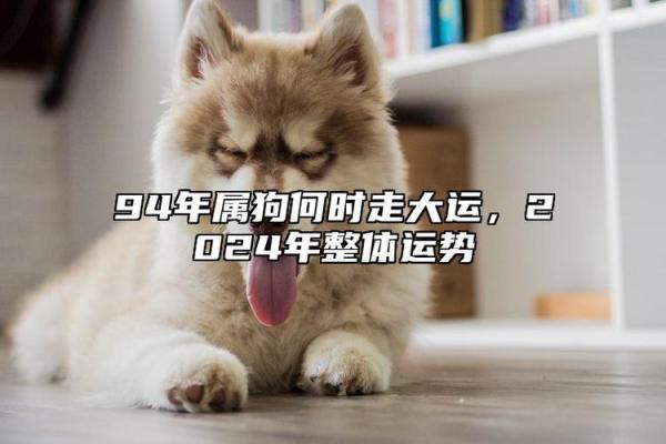 94年属狗女2025年全年运势最新版_2025年属狗女全年运势详解94年出生者必看