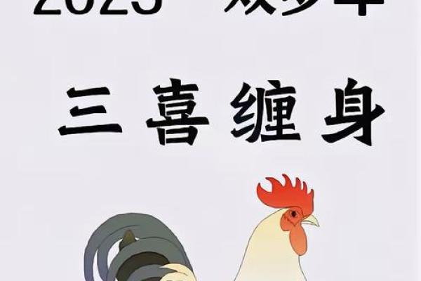 2025年属鸡2005年人的全年运势_2025年属鸡2005年出生者全年运势详解