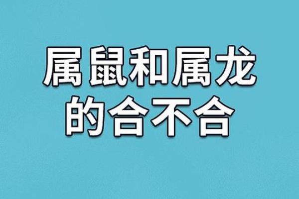属龙人一生的命运与姻缘_属龙人一生的命运与姻缘关系