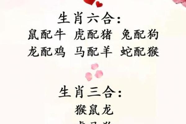 属鸡女生最佳婚配属相揭秘幸福婚姻的生肖密码