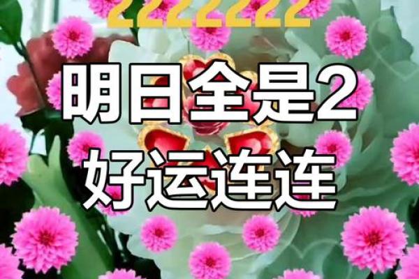 二月的好日子
