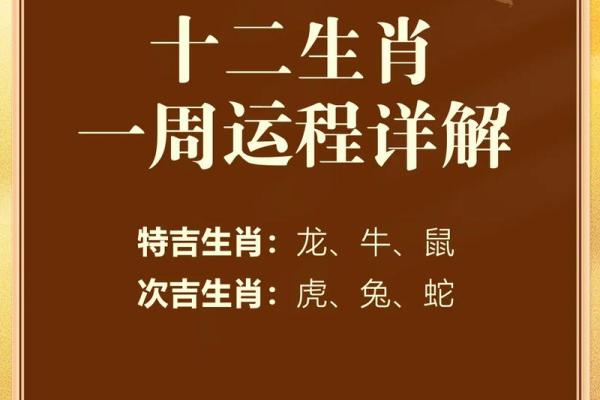 1996年2月12日属猪还是鼠 1996年2月12日出生属什么