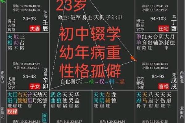 道显紫微斗数排盘 道藏紫微斗数