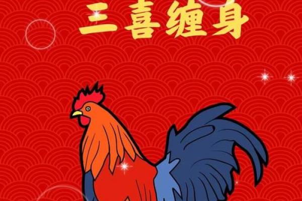 82年属狗男2025年运势完整版_2005年属鸡男2025运势及运程详解