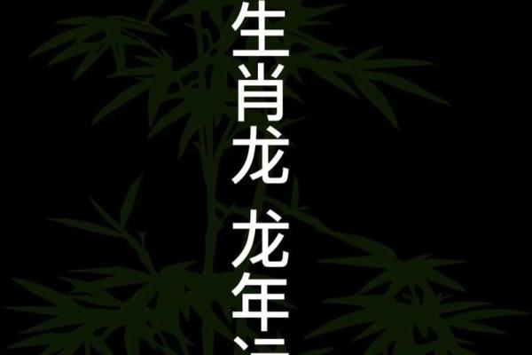 属龙的人2025年多大了 属龙2025年是什么命