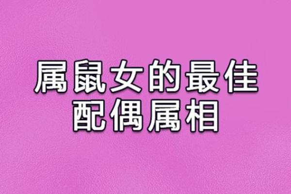 1996年2月属猪还是鼠_1996年属猪的最佳配偶