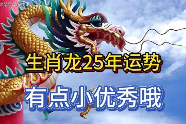生肖龙2025年运势及运程 2025年生肖龙全年运势详解逐月运程完整指南