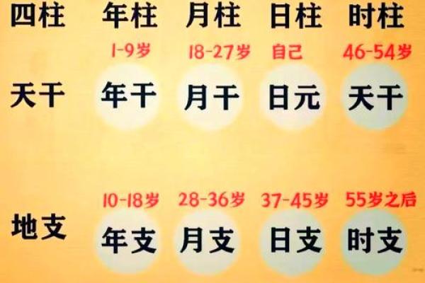 如何查自己的生辰八字_怎么查自己的生辰八字