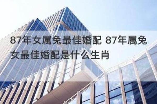属兔女最佳婚配_属兔女最佳婚配生肖