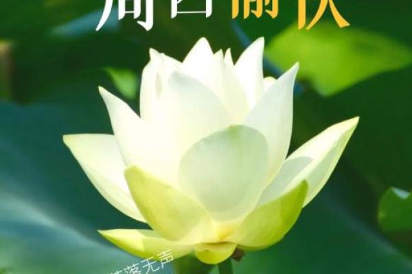 2025年5月20号