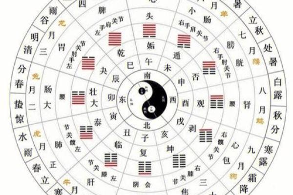 生辰八字看阴历还是阳历测算 生辰八字算的是阳历还是阴历