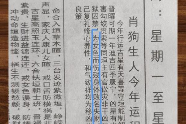 属狗的2025运势_94年属狗的2025运势