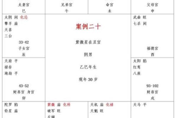 夫妻宫贪狼化权 夫妻宫贪狼化权什么意思