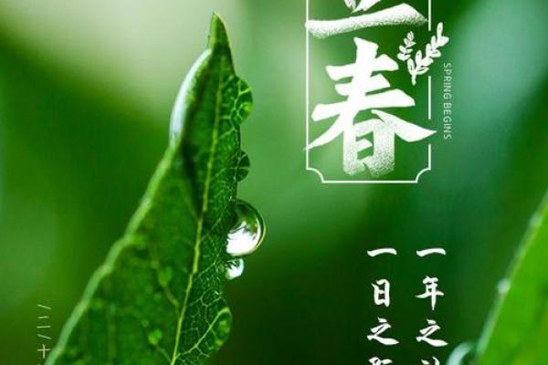 2020立春图片
