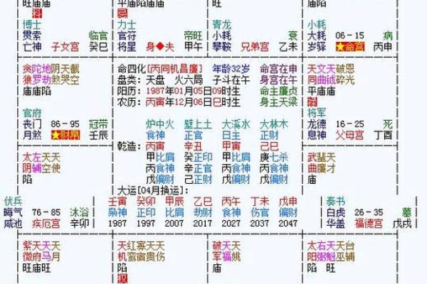 福德宫廉贞化忌_福德宫廉贞化忌代表什么