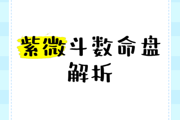 2025年3月1日丑时男命紫微斗数全解盘
