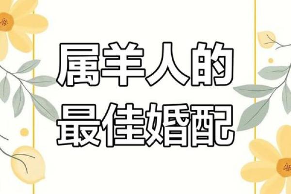 男生属羊最佳婚配_属羊男最佳配偶3个人