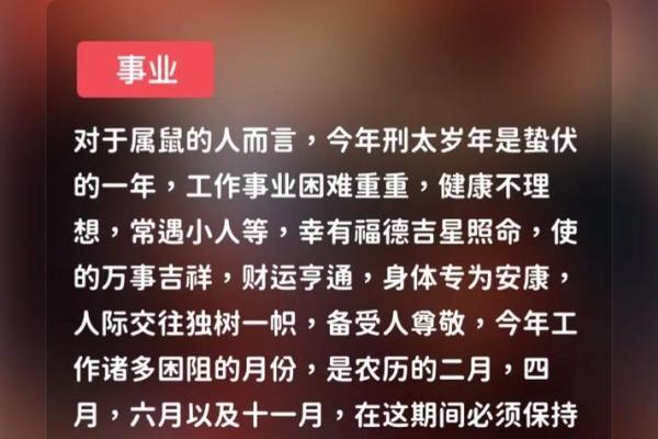 2025兔生肖的全年运势如何_属兔的人蛇年运势如何
