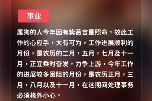 生肖生肖狗2025年运势及运程_2025年生肖狗运势详解全年运程大揭秘