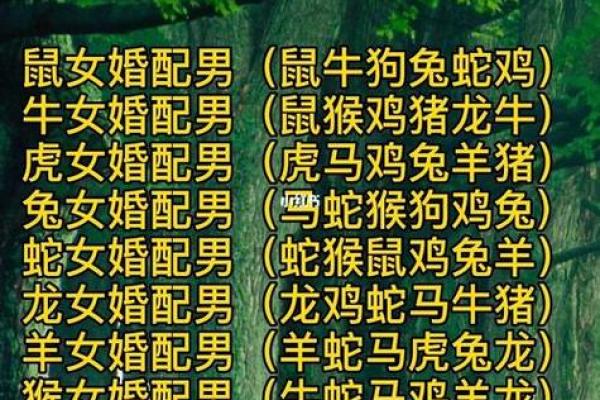 属猪男最佳婚配表_属猪男最佳婚配表揭秘最合适的生肖配对