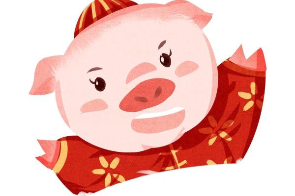 属猪2025年虚岁多大_属猪的今年是多少岁