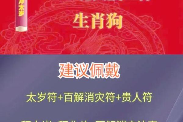 1982属狗女2025年运势完整版 1982属狗43岁桃花劫