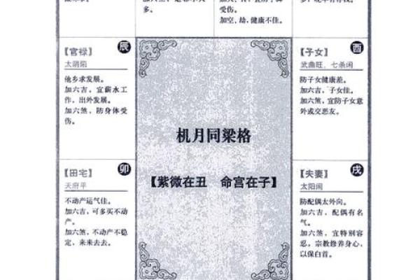 2025年3月23日寅时男命紫微斗数全解盘