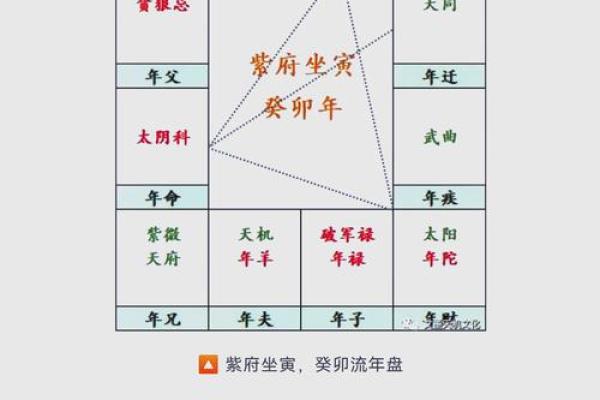 2025年3月23日寅时男命紫微斗数全解盘