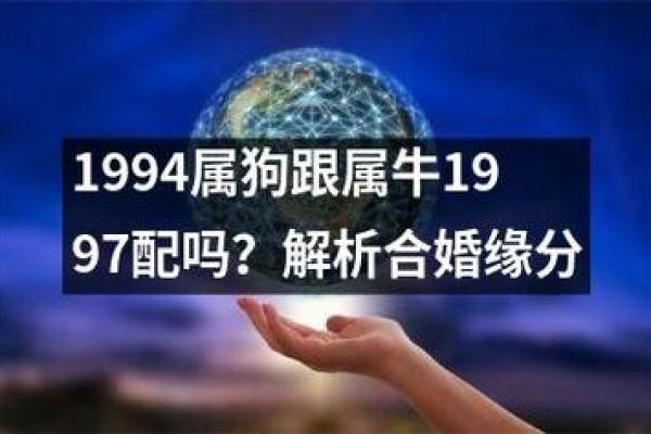 1994年属狗的最佳婚配_1994年属狗的最佳婚配时间