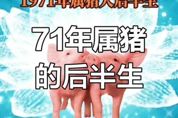 1971属猪男2025年全年运势 1971年的猪男未来五年的运程