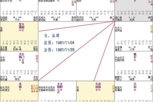 父母宫化禄入疾厄宫_父母宫化禄入疾厄宫命理解析与运势提升指南