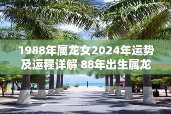 1988年属龙人今年命运 1988年属龙人今年运势