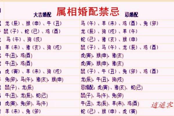 属兔女和属鼠男的婚配好不好 属兔女和属鼠男婚配好吗生肖配对解析