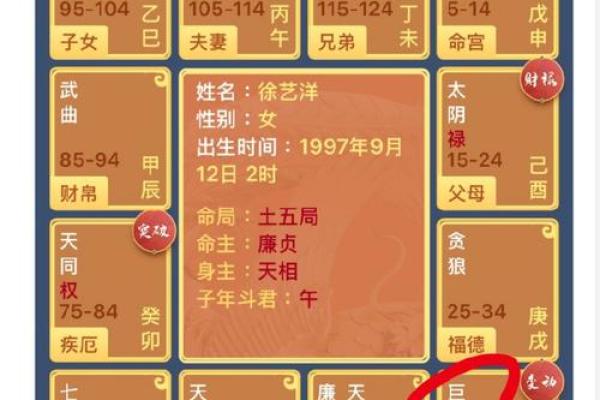 夫妻宫天贵星_夫妻宫天贵星解析婚姻运势与命理奥秘