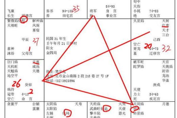 2025年2月15日子时女命紫微斗数全解盘