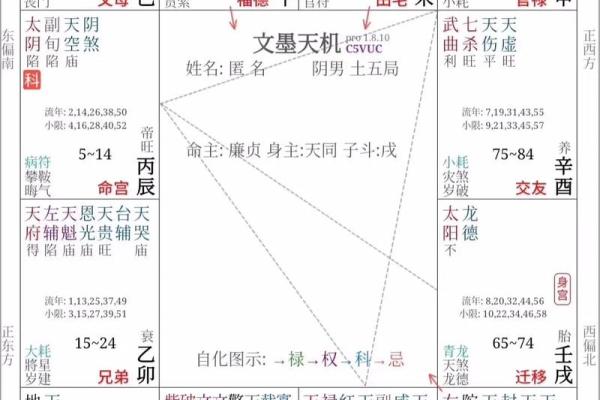 福德宫巨门_福德宫巨门旺是什么意思