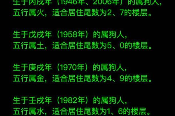 1994年属狗五行属什么揭秘94年狗的命运与五行属性
