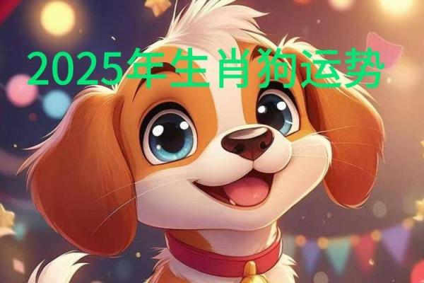 属狗的今年几岁2025_属狗的今年几岁了