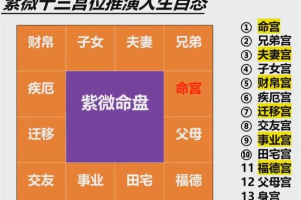 夫妻宫化权入子女宫_夫妻宫化权入子女宫配偶出轨吗