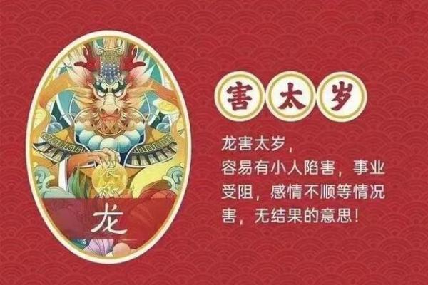 2026年属龙人的全年运势1988出生_2026年属龙运势及运程