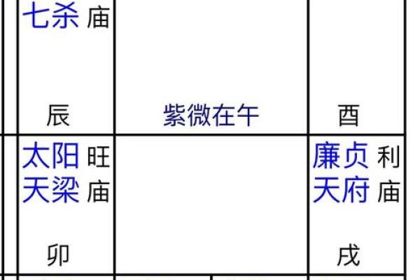 2025年2月25日卯时男命紫微斗数全解盘