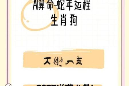 属狗女2025年的运势和婚姻_属狗女2025年的运势和婚姻怎么样